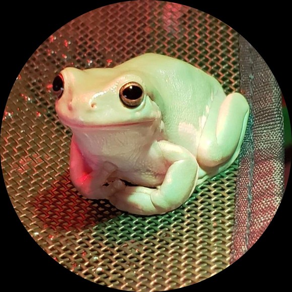 babyfwog